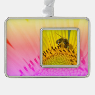Honey bee feeding on sunflower postcard metal orna silver plated framed ornament