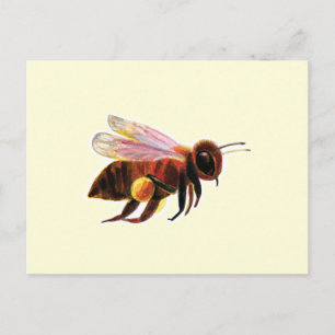 Honey Bee Flying Postcard