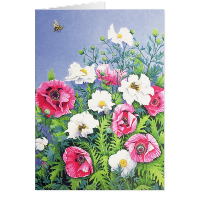 Honey Bee Honey Bee (Front)