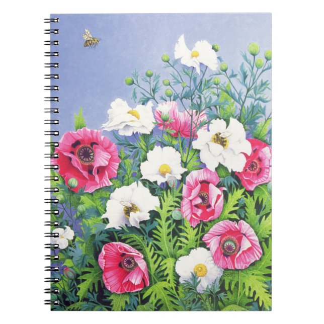 Honey Bee Honey Bee Notebook (Front)