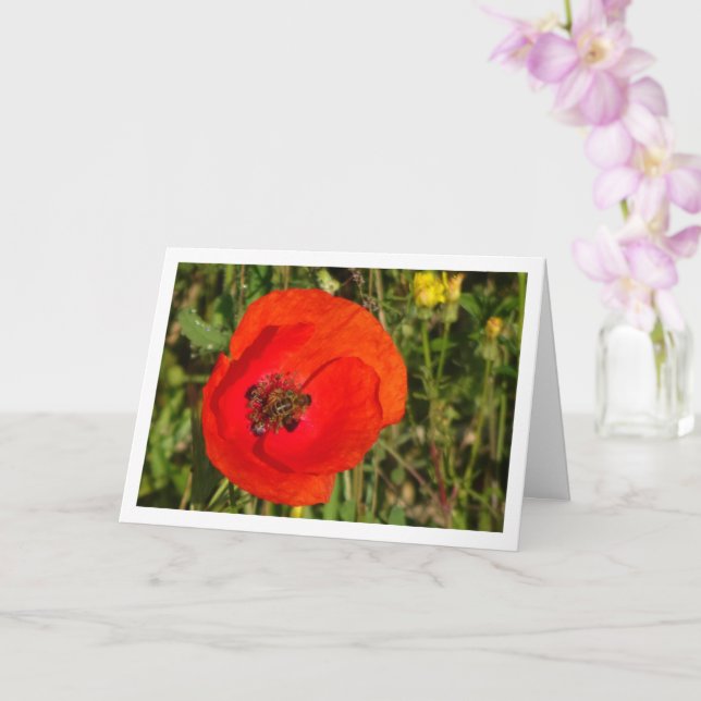 Honey Bee in Red Poppy Card (Orchid)
