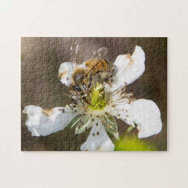 Honey bee jigsaw puzzle (Horizontal)