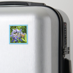 Honey bee magnet