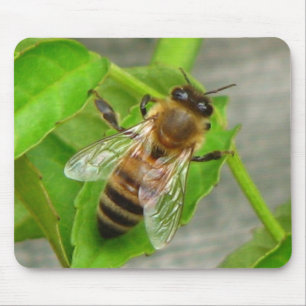Honey Bee Mouse Mat