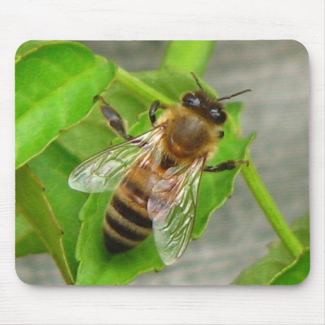 Honey Bee Mouse Mat (Front)