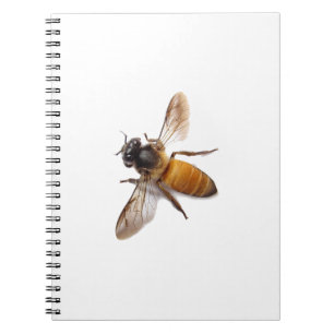 Honey Bee Notebook
