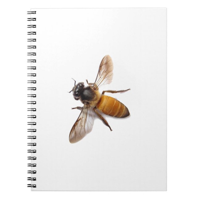 Honey Bee Notebook (Front)