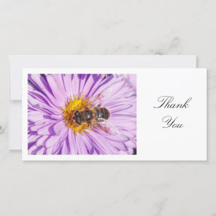 Honey Bee on a Michaelmas Daisy - Thank You Card
