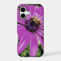 Honey Bee On A Purple African Daisy Art