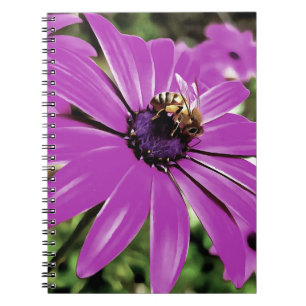 Honey Bee On A Purple African Daisy Art Notebook