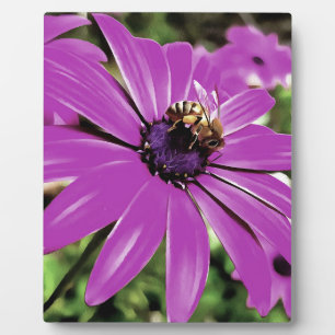 Honey Bee On A Purple African Daisy Art Plaque