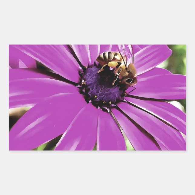 Honey Bee On A Purple African Daisy Art Rectangular Sticker (Front)