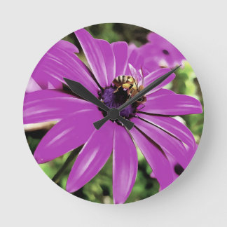 Honey Bee On A Purple African Daisy Art Round Clock