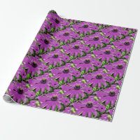 Honey Bee On A Purple African Daisy Art
