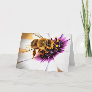 Honey Bee On African Daisy Acrylic Art Card