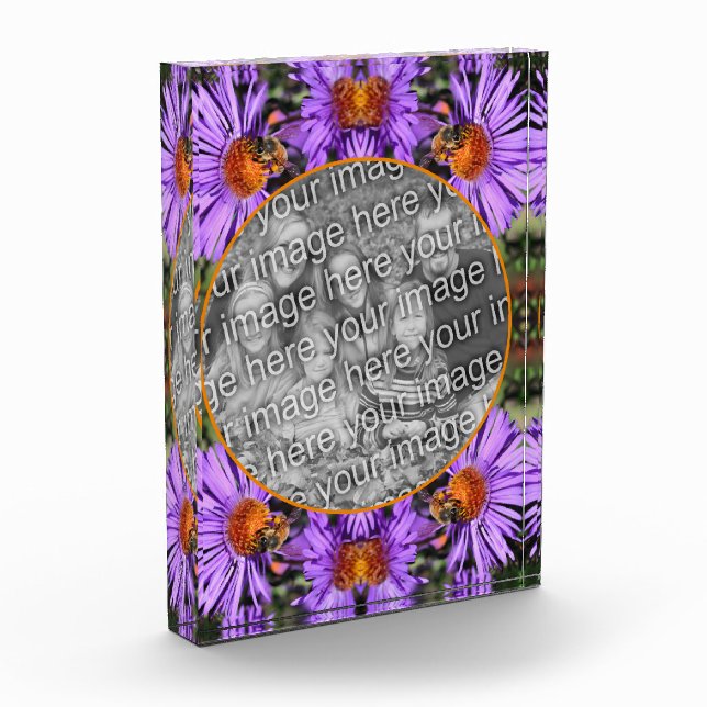 Honey Bee On Aster Flower Add Your Photo Block (Left)