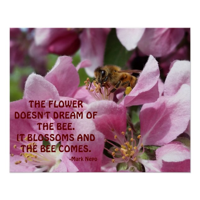 Honey Bee on Blossom with Quote Poster (Front)