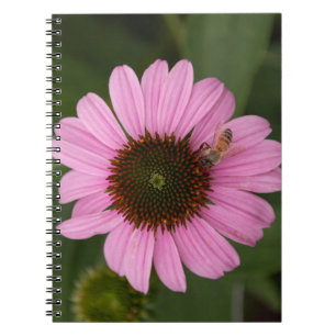 Honey Bee on Cone Flower Notebook