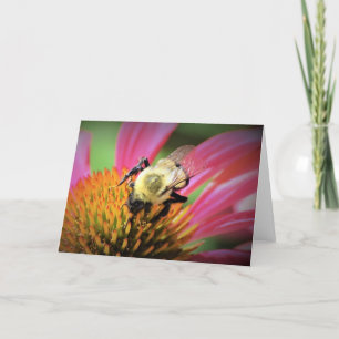 Honey Bee On Coneflower, card