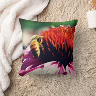 Honey Bee On Coneflower Close Up  Cushion