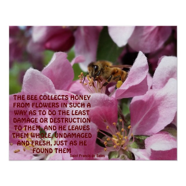 Honey Bee on Crabapple Blossom with Quote Poster (Front)
