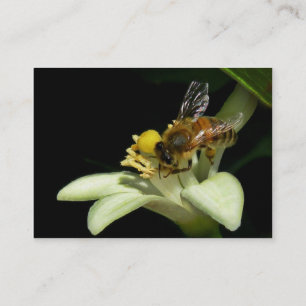 Honey Bee on Lemon Blossom ATC Card
