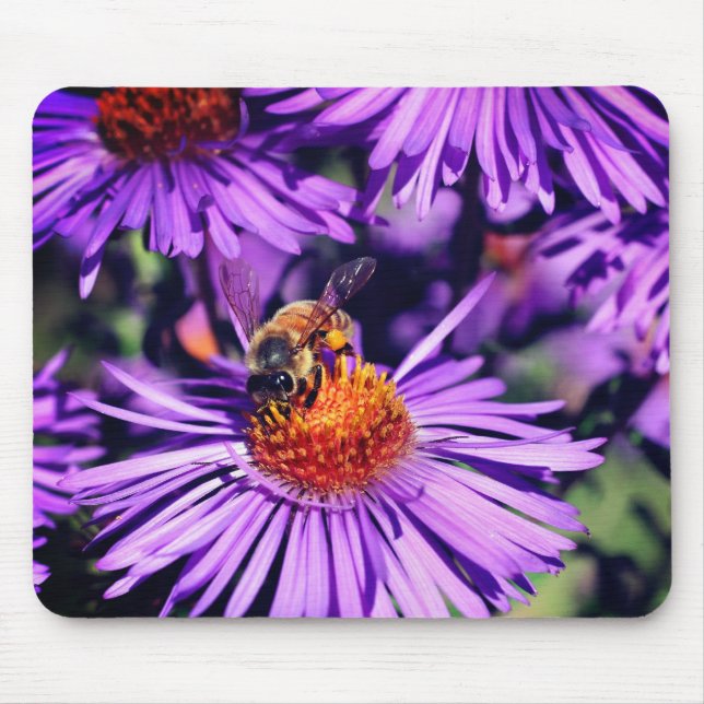 Honey Bee On Purple Aster Flower  Mouse Mat (Front)