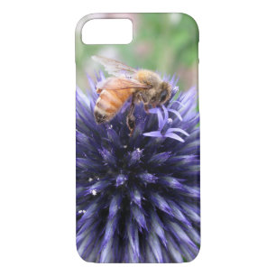 Honey Bee on Purple Globe Thistle Flower iPhone 8/7 Case