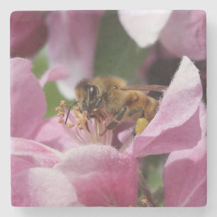 Honey Bee Polinating Pink Crabapple Flower Stone Coaster