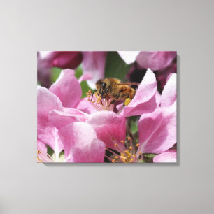 Honey Bee Pollinating Pink Crabapple Tree Blossom Canvas Print