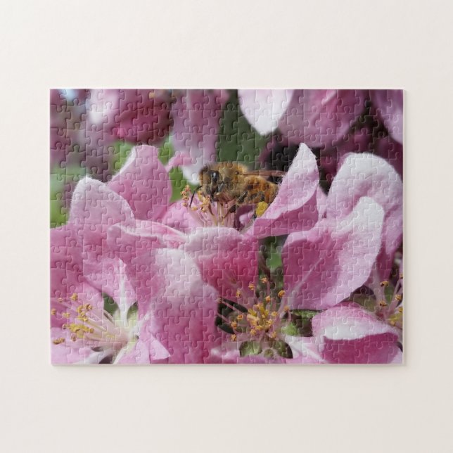 Honey Bee Pollinating Pink Crabapple Tree Blossom Jigsaw Puzzle (Horizontal)