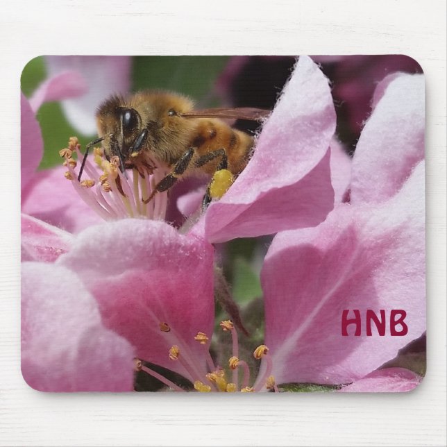 Honey Bee Pollinating Pink Crabapple Tree Blossom Mouse Mat (Front)
