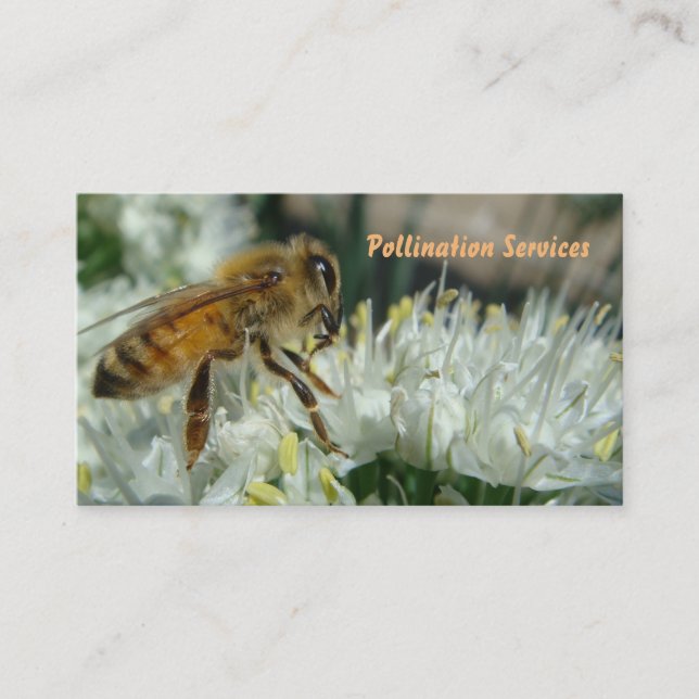 honey bee pollination business card (Front)