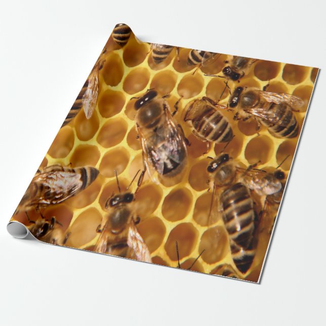 Honey Bee Print Wrapping Paper (Unrolled)