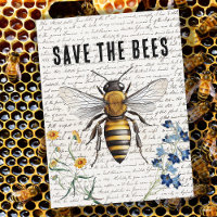 Honey Bee Save the Bees Script Flowers