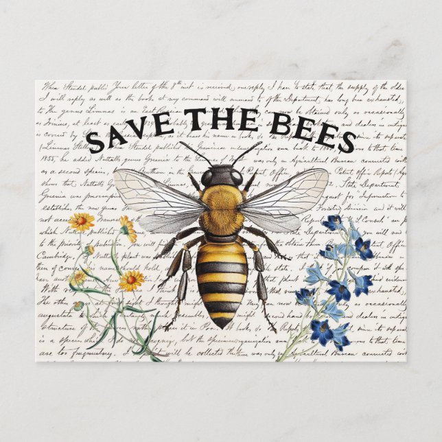 Honey Bee Save the Bees Script Flowers Postcard (Front)
