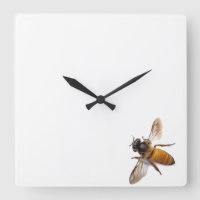Honey Bee