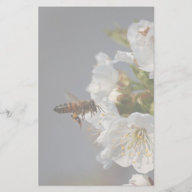 Honey Bee Stationery (Front)