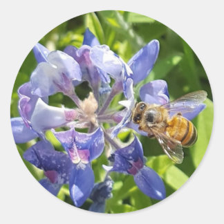 Honey bee sticker