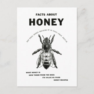 Honey Bee Vintage Advertising Postcard