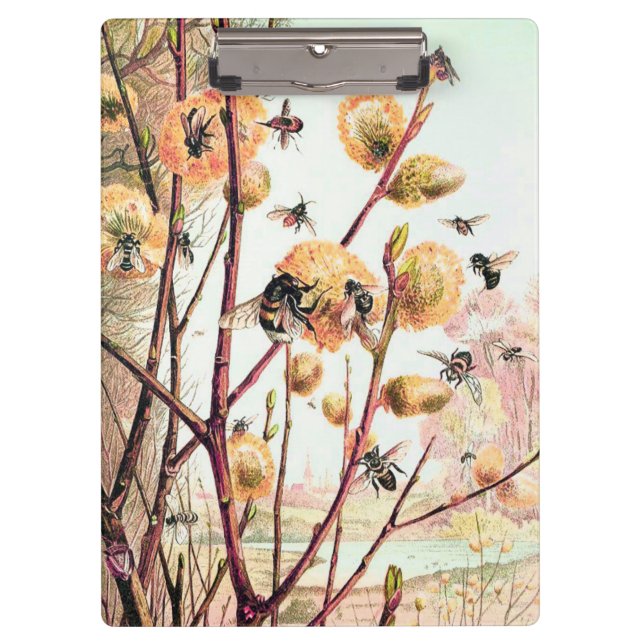 Honey bee vintage illustration clipboard (Front)