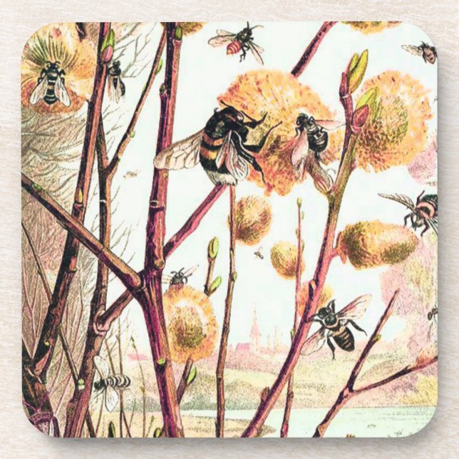 Honey bee vintage illustration coaster (Front)