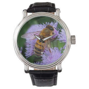 Honey Bee Watch
