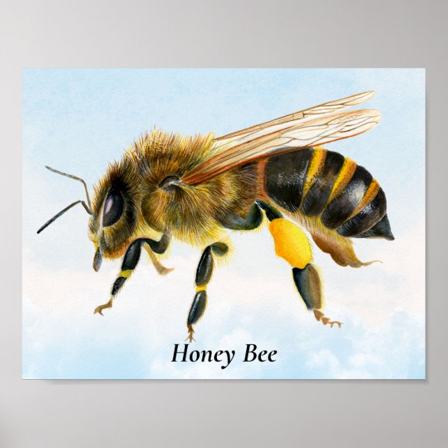 Honey Bee Watercolor Painting Poster (Front)