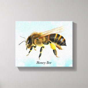 Honey Bee Watercolor Stretched Canvas Print