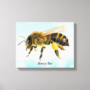 Honey Bee Watercolor Stretched Canvas Print