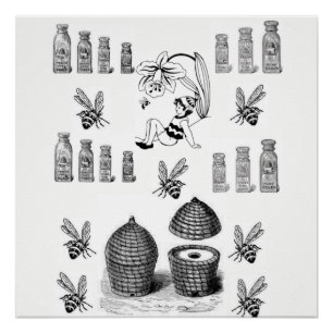 honey bee white black poster