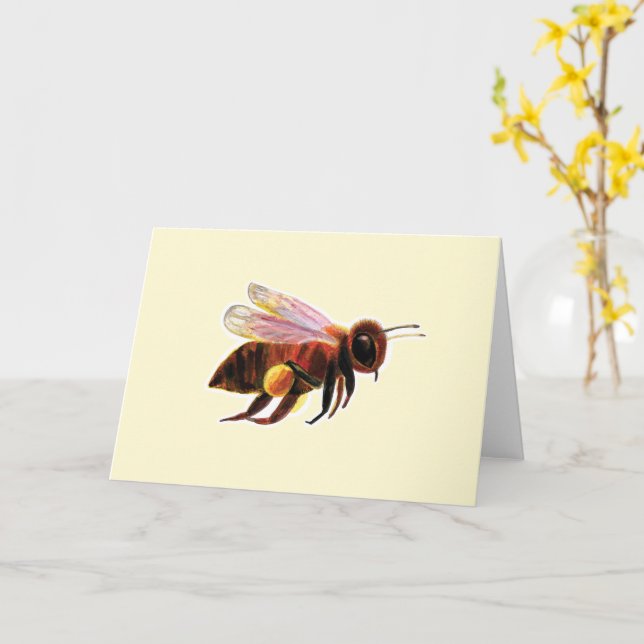 Honey Bee with its Pollen Baskets Illustration Card (Yellow Flower)