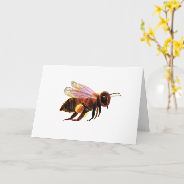 Honey Bee with its Pollen Baskets Illustration Card (Yellow Flower)