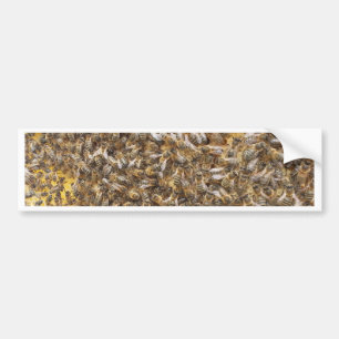 honey bees and more honey bees bumper sticker